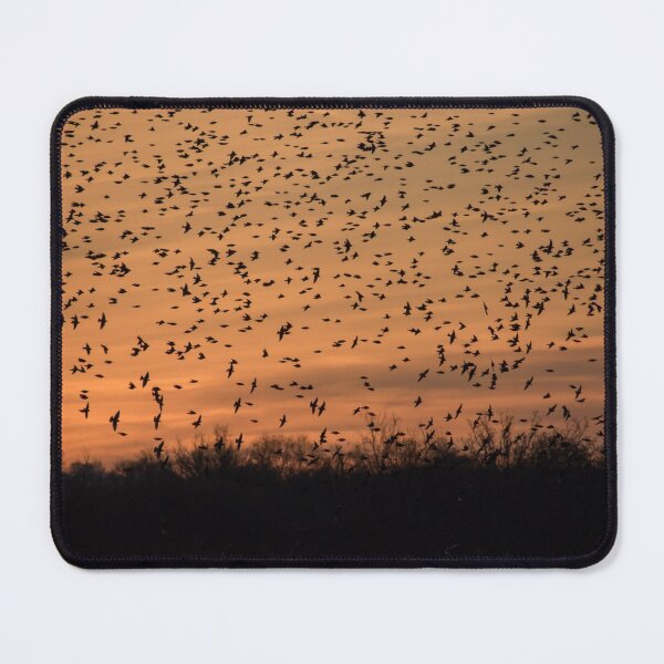 Item preview, Starling Murmuration designed and sold by LaurenTucker.