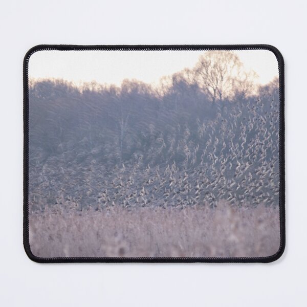 Item preview, Starling Murmuration designed and sold by LaurenTucker.