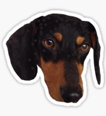 Weiner Dog Sticker