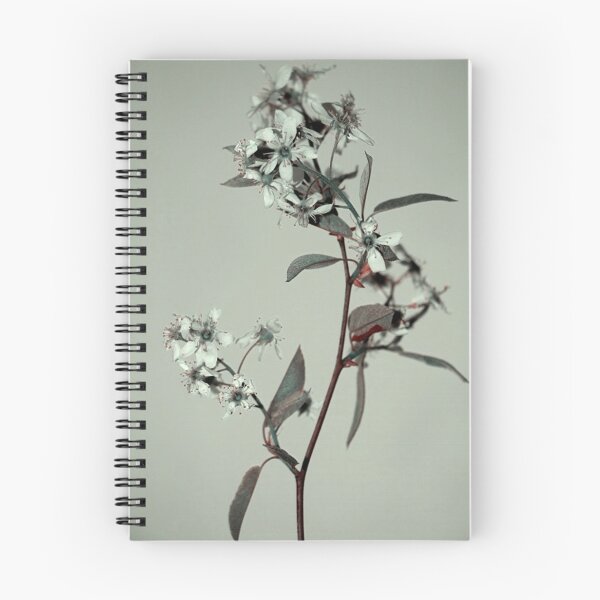 Item preview, Cherry Blossom Flowering Branch with Gray Tones designed and sold by JariHawk.