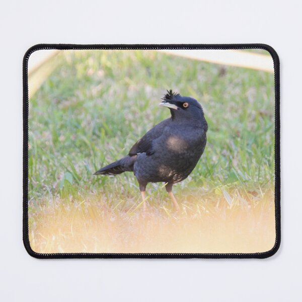 Item preview, Crested Myna designed and sold by LaurenTucker.