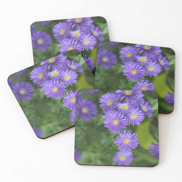 Aperçu de l'œuvre Floraison Automne Violet Violet Aster Fleurs créée et vendue par JariHawk.