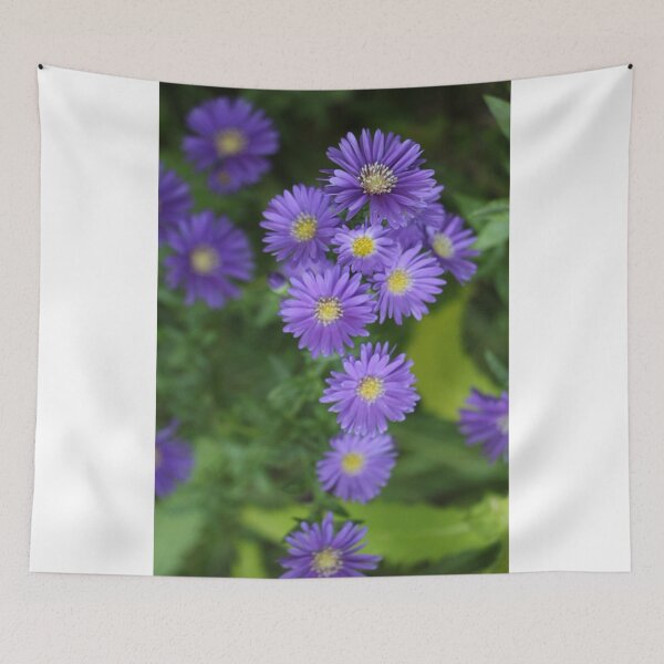 Item preview, Floración Otoño Púrpura Violeta Aster Flores designed and sold by JariHawk.