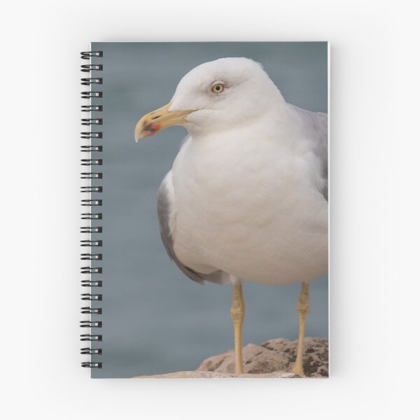 Item preview, Yellow Legged Gull designed and sold by LaurenTucker.