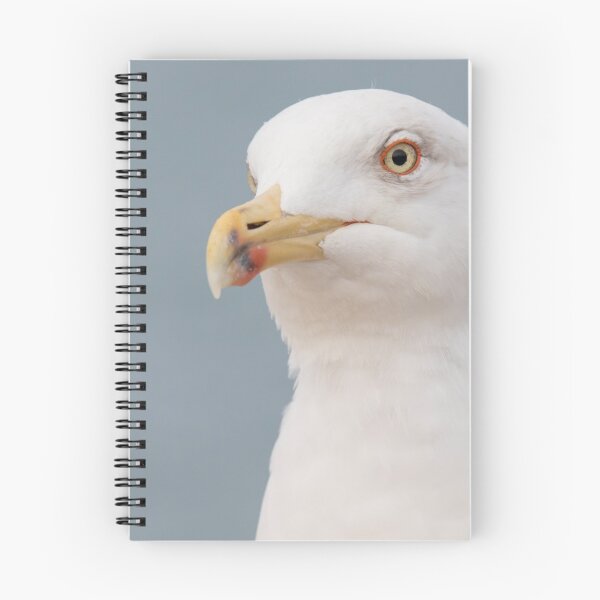 Item preview, Yellow Legged Gull designed and sold by LaurenTucker.