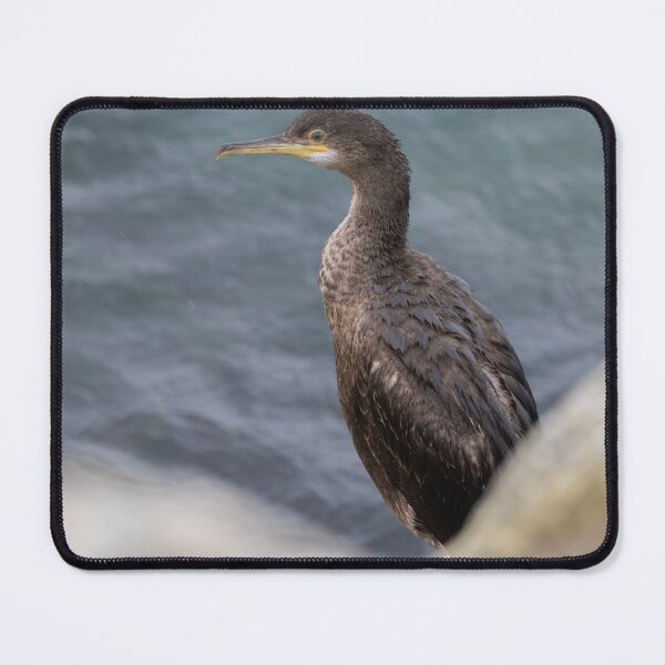Item preview, Shag designed and sold by LaurenTucker.