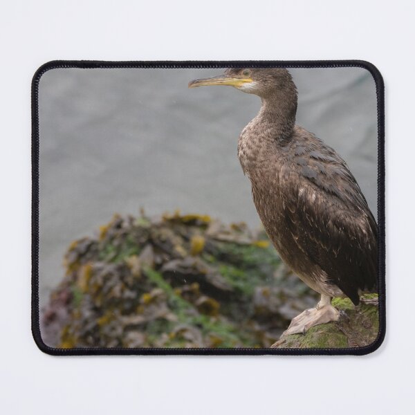 Item preview, Shag designed and sold by LaurenTucker.