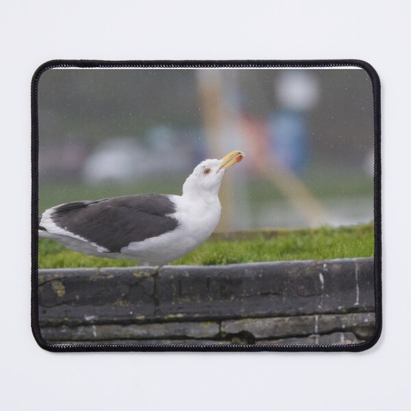 Item preview, Great Black Backed Gull designed and sold by LaurenTucker.