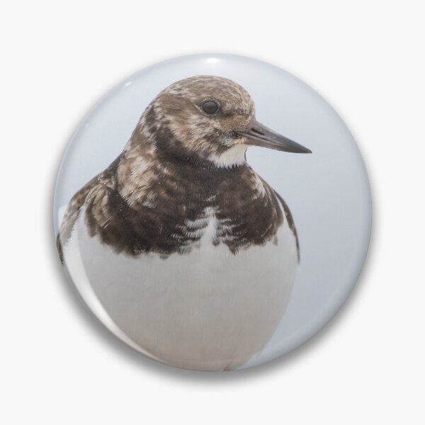 Item preview, Turnstone designed and sold by LaurenTucker.