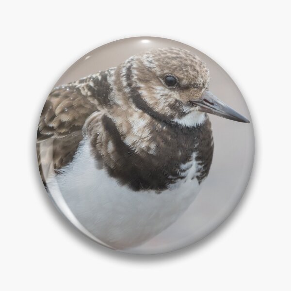 Item preview, Turnstone designed and sold by LaurenTucker.