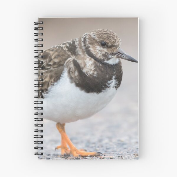 Item preview, Turnstone designed and sold by LaurenTucker.