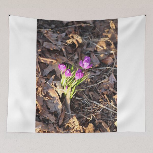 Item preview, Early Morning Sunshine Crocuses Purple Violet Flowers designed and sold by JariHawk.