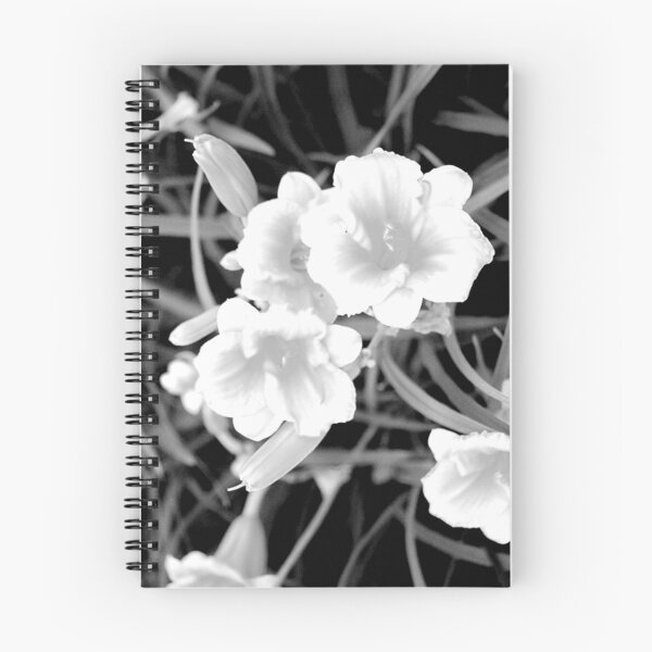 Artikelvorschau, Lilien Blühende Blumen Schwarz und Weiß entworfen und verkauft von JariHawk.