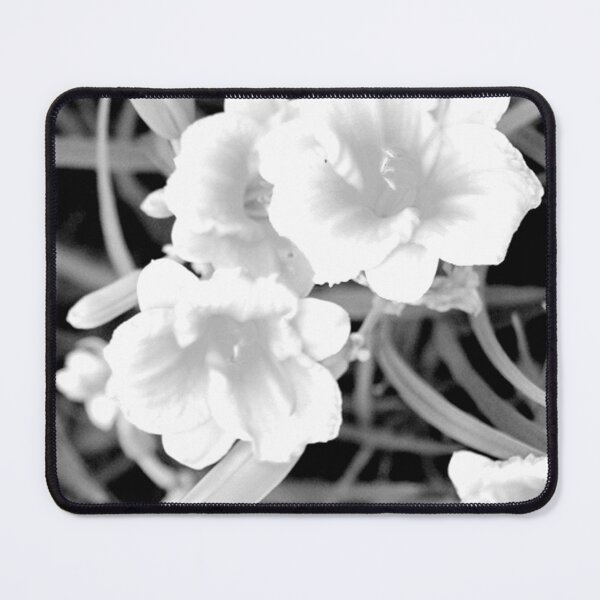 Item preview, Lilies Blooming Flowers Black and White designed and sold by JariHawk.
