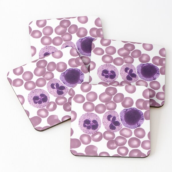 Item preview, Red and White Blood Cells, LM designed and sold by ScienceSource.
