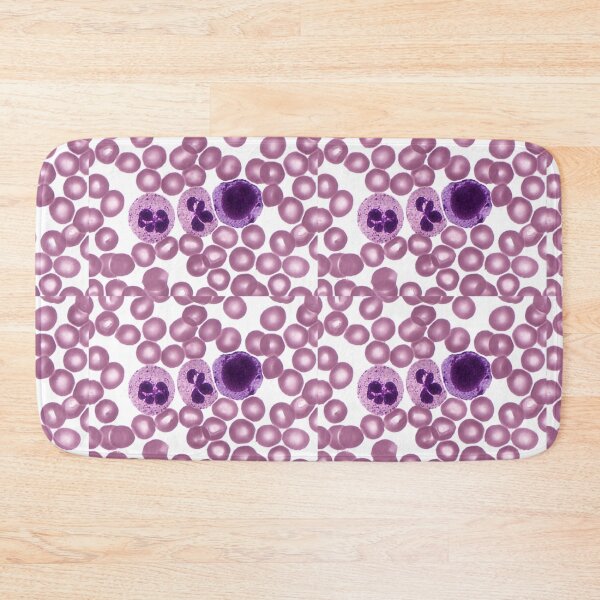 Item preview, Red and White Blood Cells, LM designed and sold by ScienceSource.