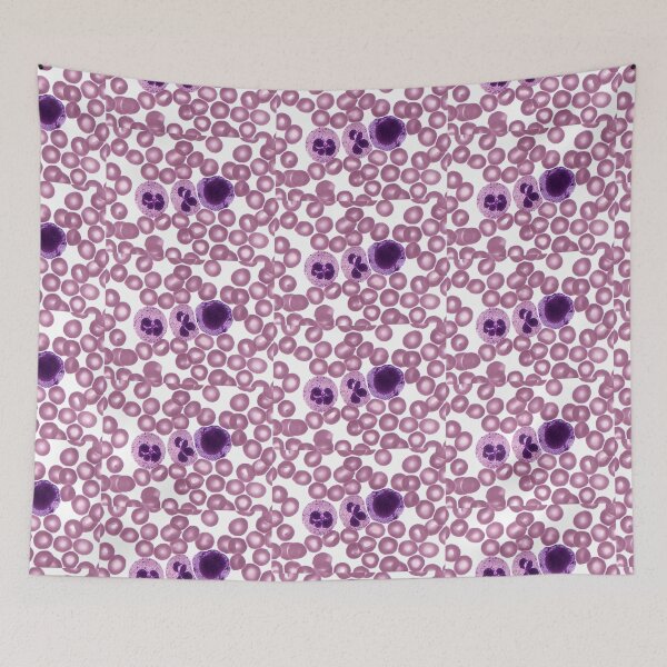 Item preview, Red and White Blood Cells, LM designed and sold by ScienceSource.