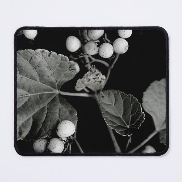 Item preview, Branch of Porcelain Berries Vine in Black and White designed and sold by JariHawk.