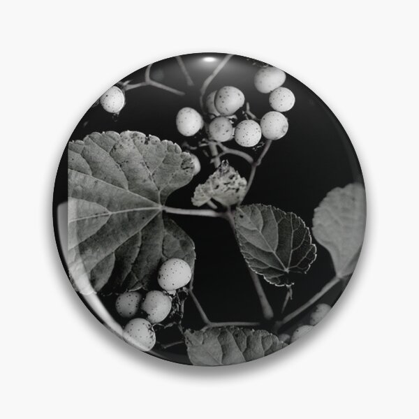 Item preview, Branch of Porcelain Berries Vine in Black and White designed and sold by JariHawk.