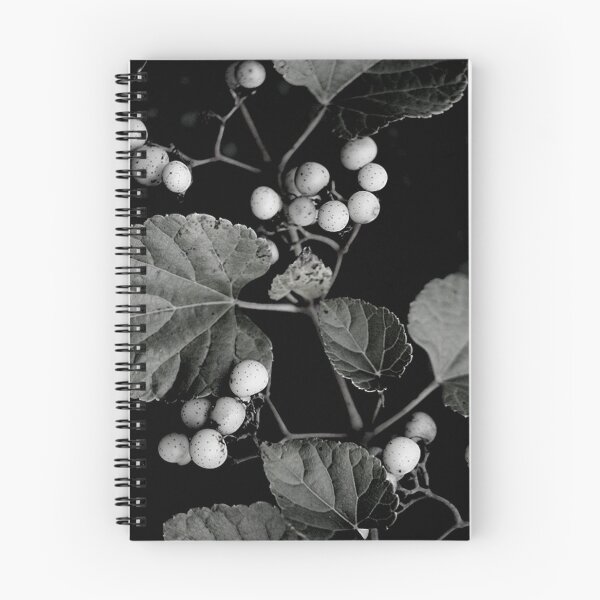 Item preview, Branch of Porcelain Berries Vine in Black and White designed and sold by JariHawk.