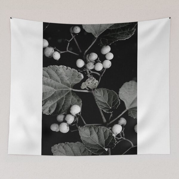 Item preview, Branch of Porcelain Berries Vine in Black and White designed and sold by JariHawk.