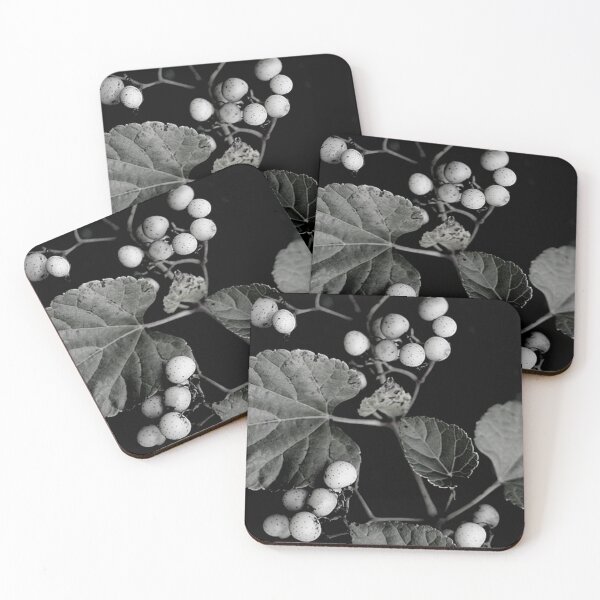 Item preview, Branch of Porcelain Berries Vine in Black and White designed and sold by JariHawk.