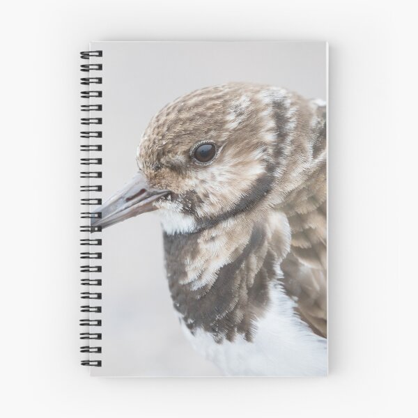 Item preview, Turnstone designed and sold by LaurenTucker.