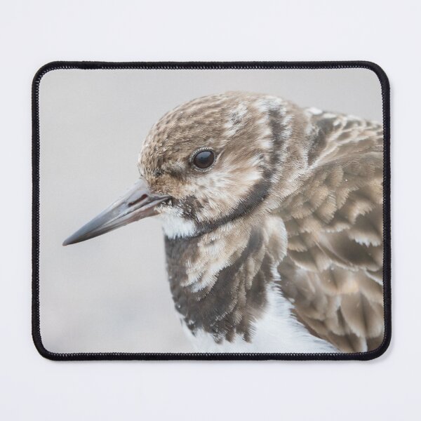 Item preview, Turnstone designed and sold by LaurenTucker.