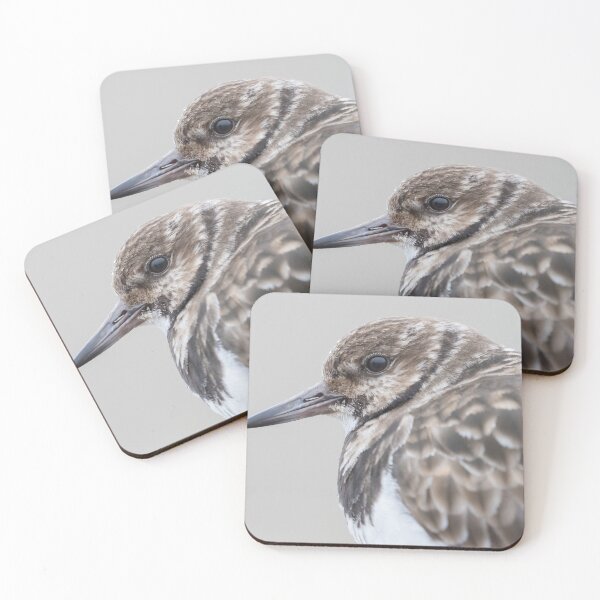 Item preview, Turnstone designed and sold by LaurenTucker.