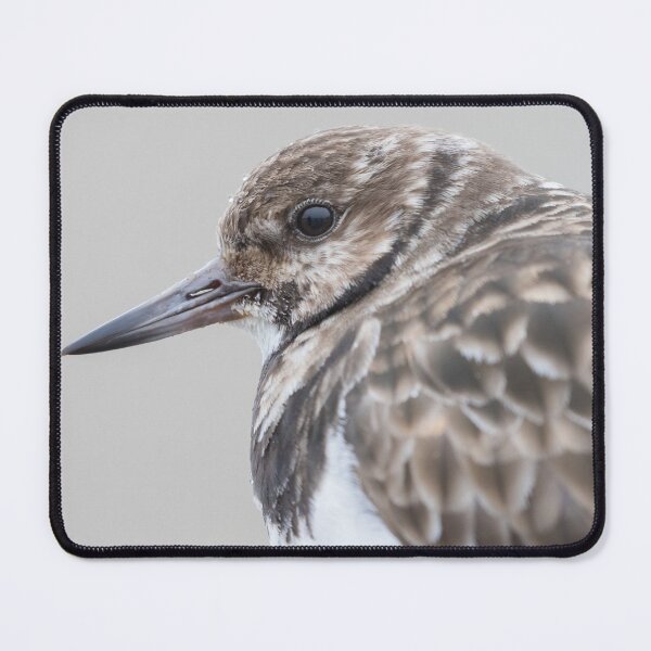 Item preview, Turnstone designed and sold by LaurenTucker.