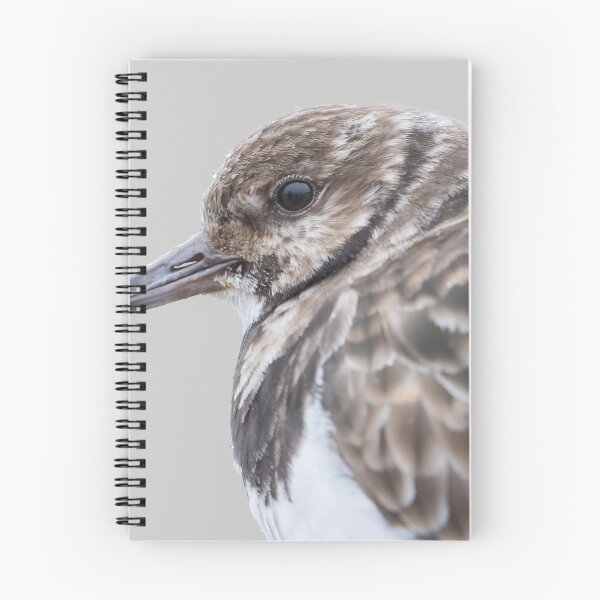 Item preview, Turnstone designed and sold by LaurenTucker.