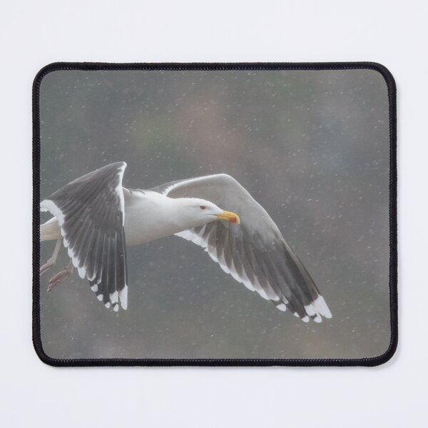 Item preview, Great Black Backed Gull designed and sold by LaurenTucker.