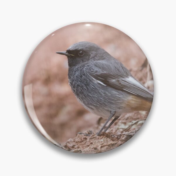 Item preview, Black Redstart designed and sold by LaurenTucker.