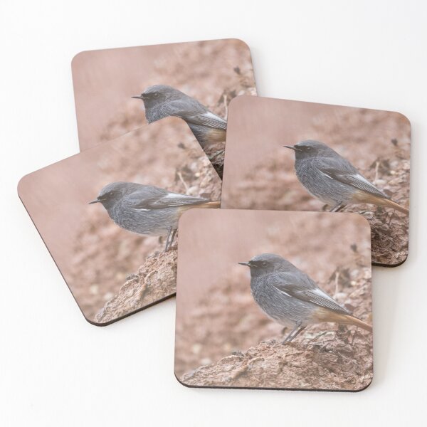Item preview, Black Redstart designed and sold by LaurenTucker.