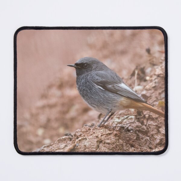 Item preview, Black Redstart designed and sold by LaurenTucker.