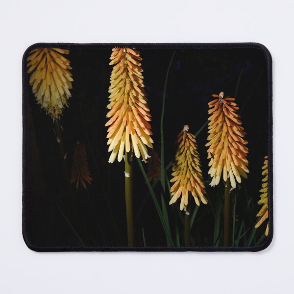 Item preview, The Walled Garden #12 designed and sold by jonny hughes.