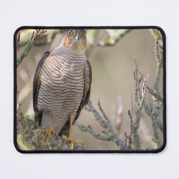 Item preview, Sparrowhawk designed and sold by LaurenTucker.