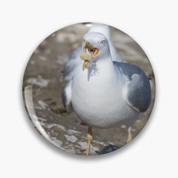 Item preview, Yellow Legged Gull designed and sold by LaurenTucker.