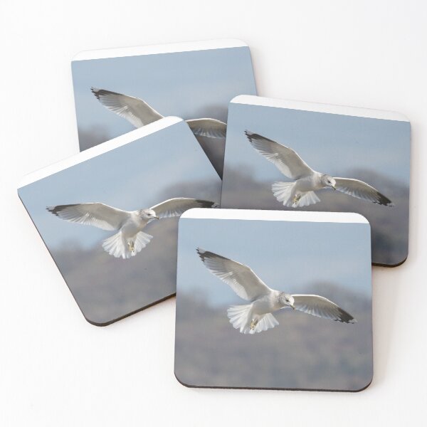 Item preview, Common Gull designed and sold by LaurenTucker.