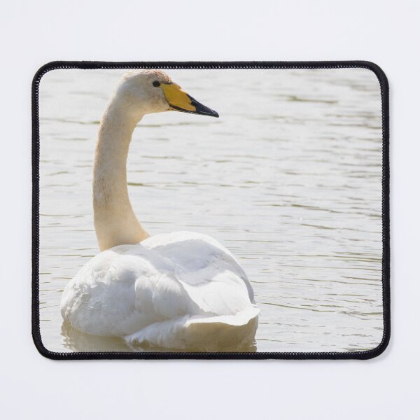 Item preview, Whooper Swan designed and sold by LaurenTucker.