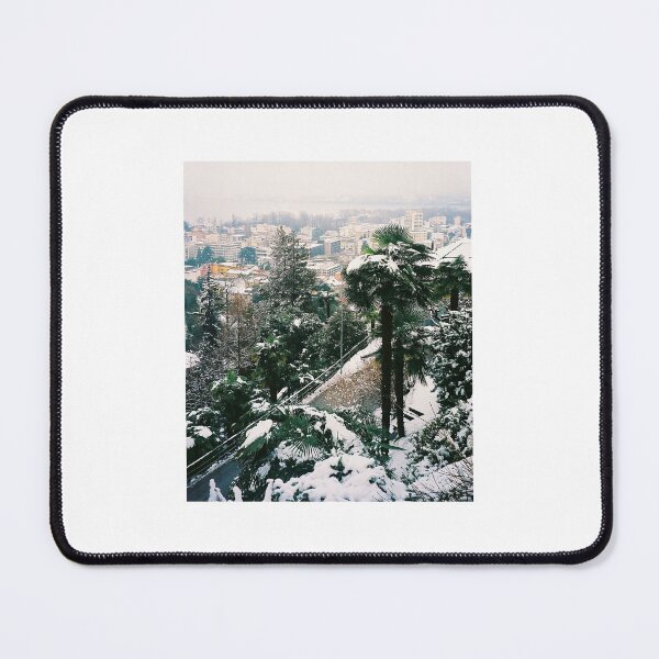 Item preview, Locarno. Palm Tree under Snow. Ticino, Switzerland 2005 designed and sold by Igor Pozdnyakov.