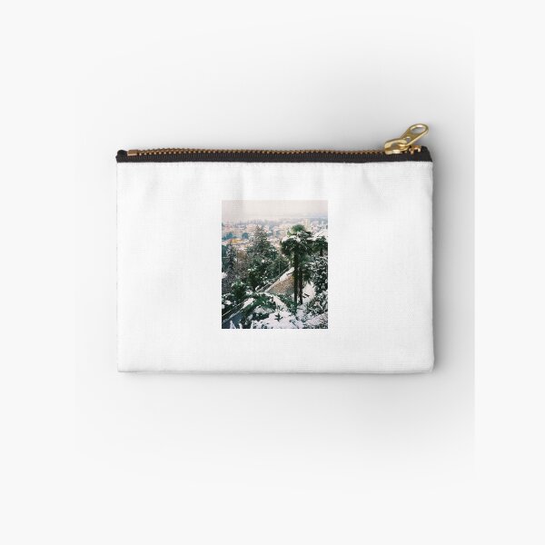 Item preview, Locarno. Palm Tree under Snow. Ticino, Switzerland 2005  designed and sold by Igor Pozdnyakov.