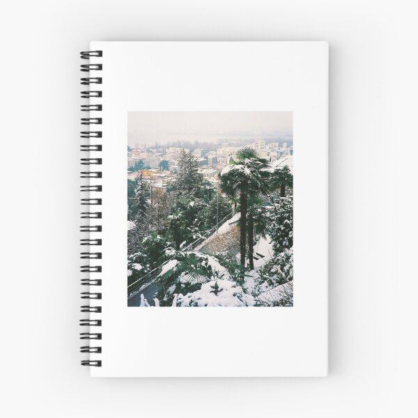 Item preview, Locarno. Palm Tree under Snow. Ticino, Switzerland 2005  designed and sold by Igor Pozdnyakov.