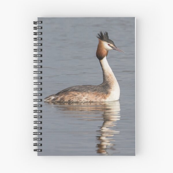 Item preview, Great Crested Grebe designed and sold by LaurenTucker.