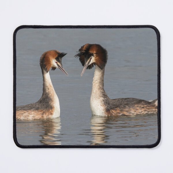 Item preview, Great Crested Grebe designed and sold by LaurenTucker.