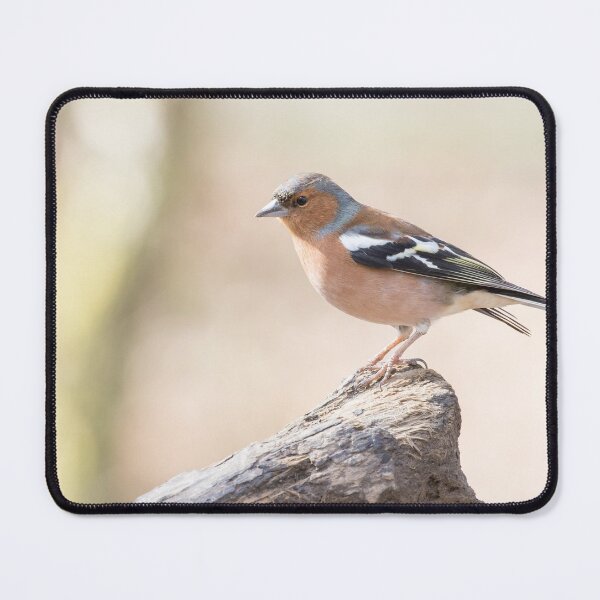 Item preview, Chaffinch designed and sold by LaurenTucker.