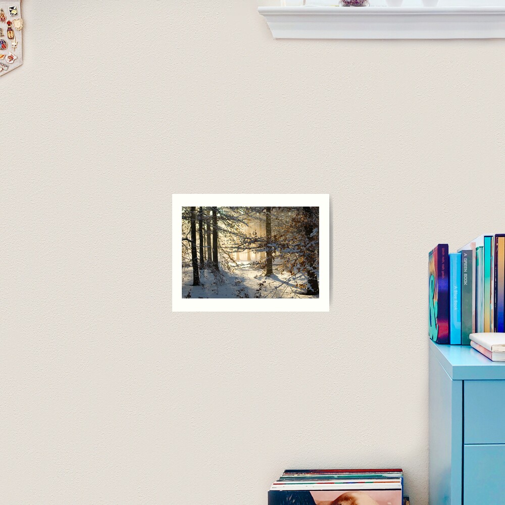 Filtering through Art Print