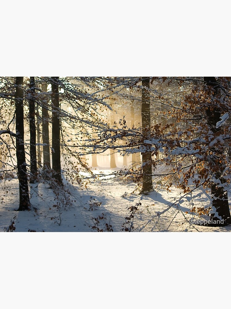 Filtering through by steppeland