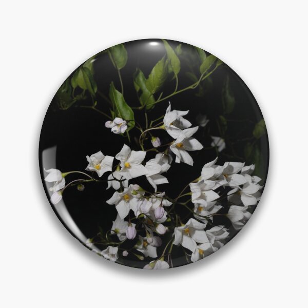 Item preview, The Walled Garden #13 designed and sold by jonny hughes.