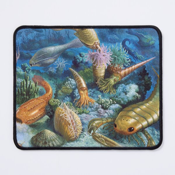 Item preview,  Life of the Paleozoic Period designed and sold by ScienceSource.